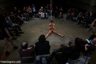 Slut was fucked hard and humiliated.