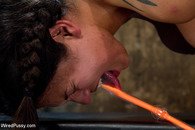 Domina mistress deadly whips the porky slave