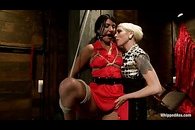 Beauty lesbians are playing bdsm